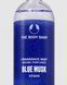 Парфумований спрей для тіла Blue Musk|100ML 1025498 фото 3