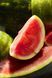 Блиск для губ Born Lippy Watermelon Sorbet|10ML 1047910 фото 4