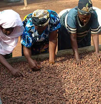 fighting to empower women and girls - a history of campaigning for equality - global shea alliance 1.webp